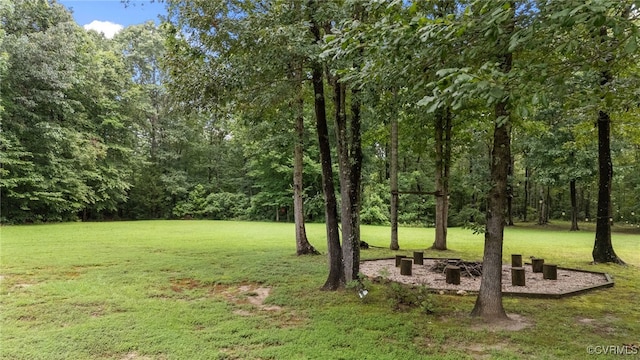 427 Valley View Dr, Aylett, VA 23009 - photo 48