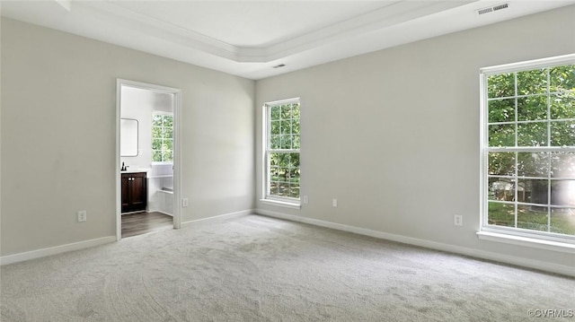 3208 Warm Springs Way, Henrico, VA 23223 - spare room with carpet flooring and a tray ceiling