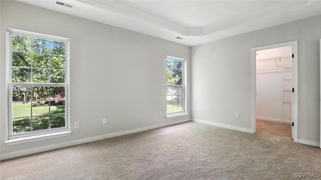 3208 Warm Springs Way, Henrico, VA 23223 - carpeted empty room with plenty of natural light and a raised ceiling
