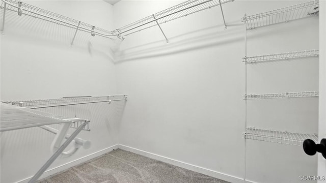 3208 Warm Springs Way, Henrico, VA 23223 - spacious closet with carpet flooring