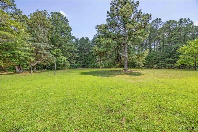 10324 Lamore Dr, Disputanta, VA 23842 - view of green lawn featuring a forest view