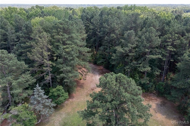 10324 Lamore Dr, Disputanta, VA 23842 - aerial view of property and surrounding area with a forest