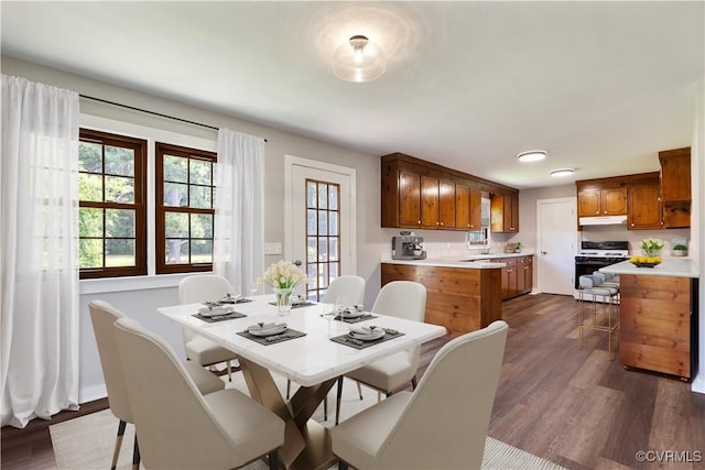 10324 Lamore Dr, Disputanta, VA 23842 - dining room featuring dark wood-style flooring