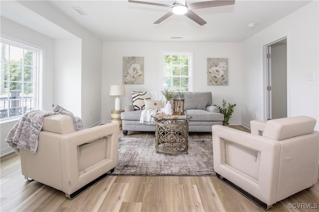 25713 Simmons Ave, North Dinwiddie, VA 23803 - living room with plenty of natural light, light wood-style flooring, and ceiling fan