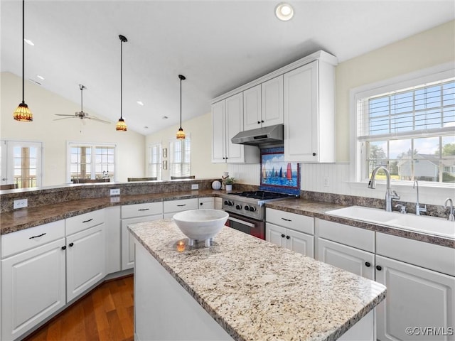 621 Fort Lowry Ln, Dunnsville, VA 22454 - kitchen with high end stainless steel range oven, under cabinet range hood, a center island, white cabinets, and dark wood-type flooring