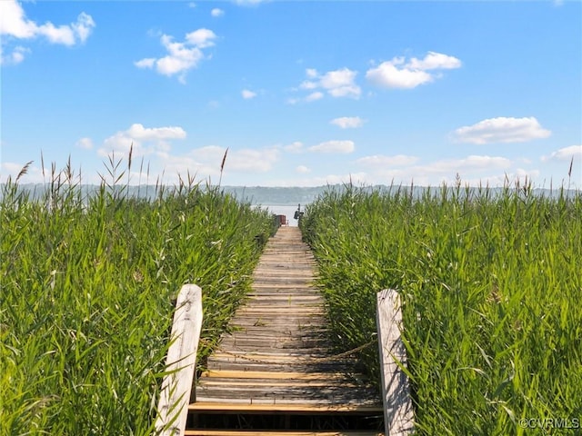 621 Fort Lowry Ln, Dunnsville, VA 22454 - view of community with a water view