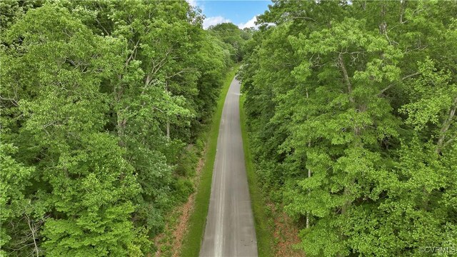 2935 Royal Virginia Ct, Louisa, VA 23093 - photo 28