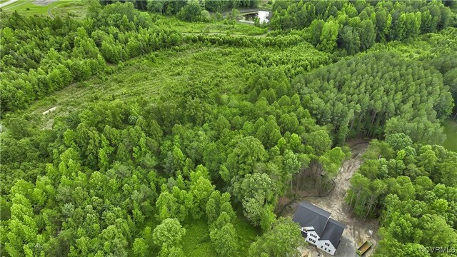 2935 Royal Virginia Ct, Louisa, VA 23093 - photo 30