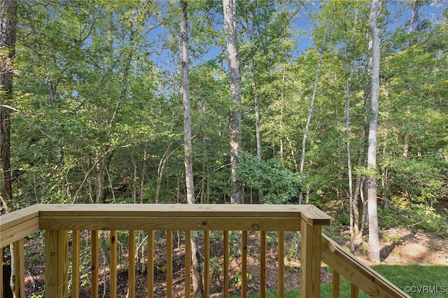 2935 Royal Virginia Ct, Louisa, VA 23093 - photo 26