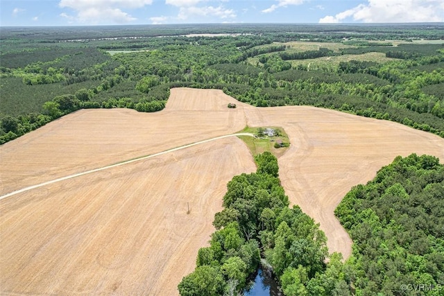 32082 Sparta Rd, Milford, VA 22514 - bird's eye view of a forest
