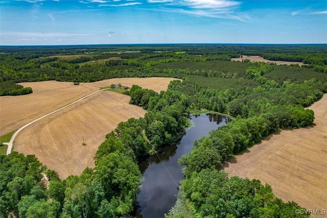 32082 Sparta Rd, Milford, VA 22514 - drone / aerial view of a nearby body of water and a heavily wooded area