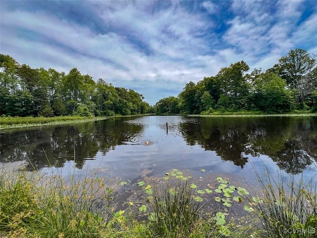 32082 Sparta Rd, Milford, VA 22514 - water view with a forest