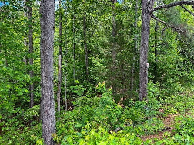 32082 Sparta Rd, Milford, VA 22514 - view of woods