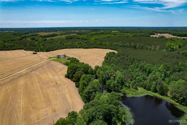 32082 Sparta Rd, Milford, VA 22514 - aerial view of a forest and a nearby body of water