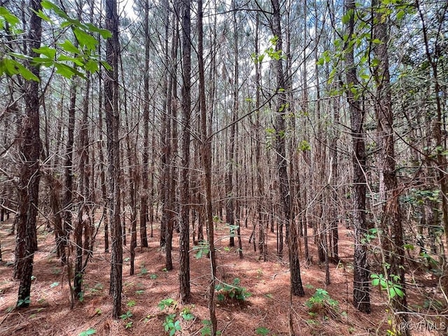 32082 Sparta Rd, Milford, VA 22514 - view of wooded area