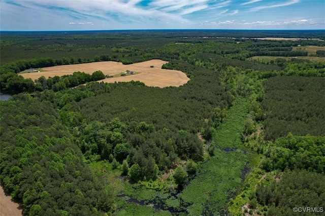 32082 Sparta Rd, Milford, VA 22514 - drone / aerial view of a forest