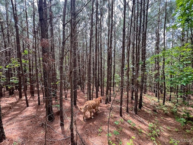 32082 Sparta Rd, Milford, VA 22514 - view of tree filled area
