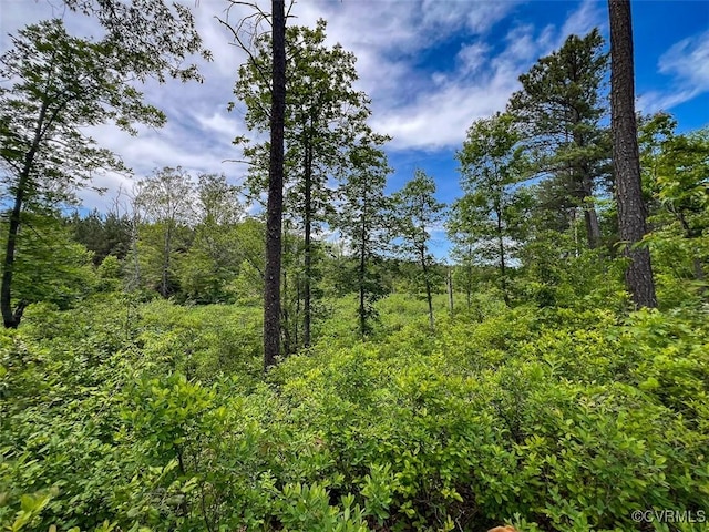32082 Sparta Rd, Milford, VA 22514 - view of tree filled area