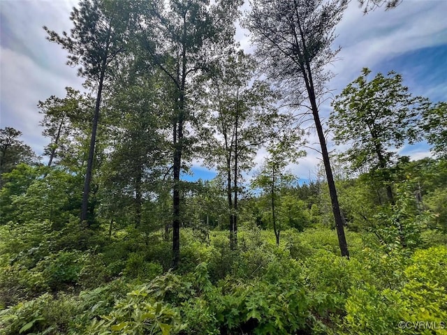 32082 Sparta Rd, Milford, VA 22514 - view of tree filled area