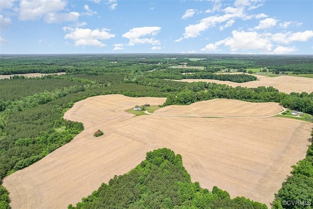 32082 Sparta Rd, Milford, VA 22514 - bird's eye view of a forest