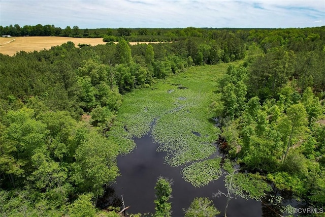 32082 Sparta Rd, Milford, VA 22514 - drone / aerial view of a large body of water and a forest
