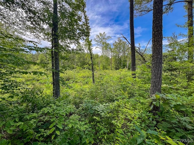 32082 Sparta Rd, Milford, VA 22514 - view of tree filled area