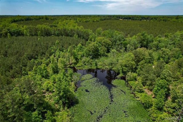 32082 Sparta Rd, Milford, VA 22514 - view of property location with a heavily wooded area