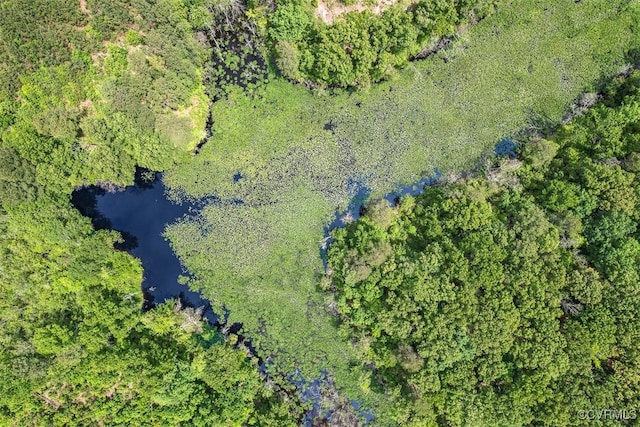 32082 Sparta Rd, Milford, VA 22514 - aerial view of a nearby body of water