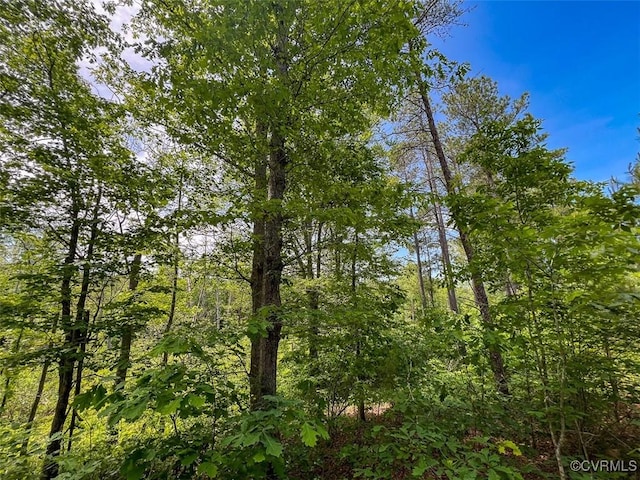 32082 Sparta Rd, Milford, VA 22514 - view of undeveloped land