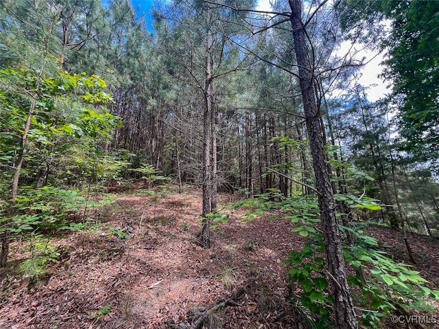32082 Sparta Rd, Milford, VA 22514 - view of woods
