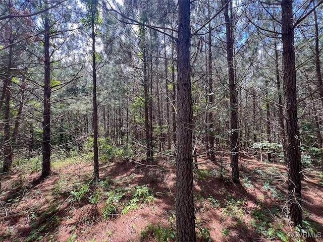 32082 Sparta Rd, Milford, VA 22514 - view of tree filled area