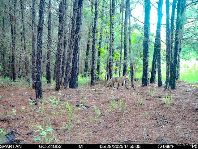 32082 Sparta Rd, Milford, VA 22514 - view of local wilderness
