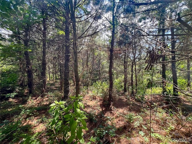 32082 Sparta Rd, Milford, VA 22514 - view of woods