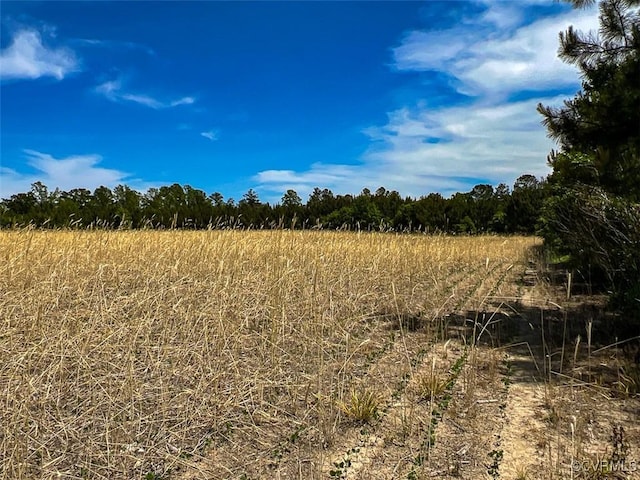 32082 Sparta Rd, Milford, VA 22514 - view of local wilderness