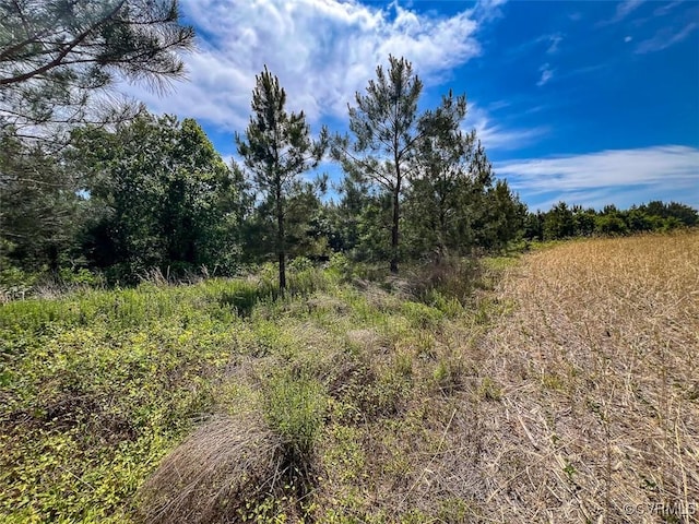 32082 Sparta Rd, Milford, VA 22514 - view of undeveloped land