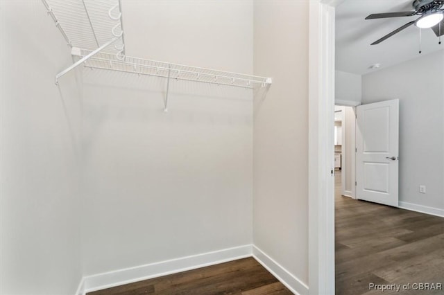 5883 Mill Race Pl, Gloucester, VA 23061 - spacious closet featuring dark wood-style flooring and ceiling fan