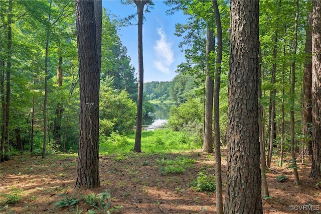 3007 Tranbycroft Way, Sandy Hook, VA 23153 - view of woods with a water view