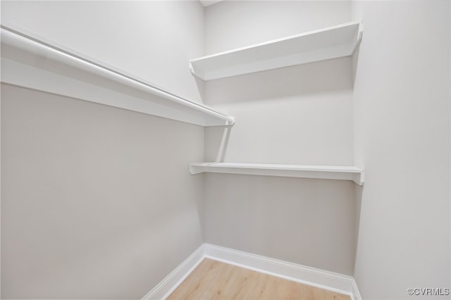 915 W Wythe St, Petersburg, VA 23803 - photo 12