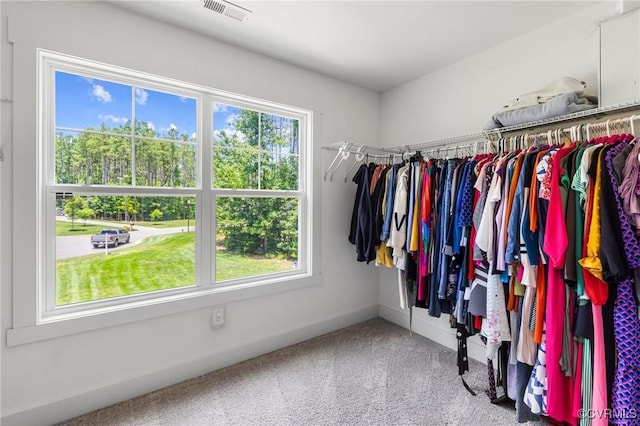 12613 Capernwray Ter, Chesterfield, VA 23838 - walk in closet featuring carpet