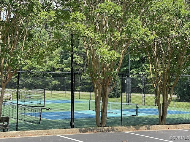 12024 Player Ct, Chester, VA 23836 - photo 24
