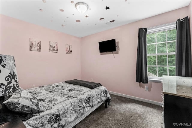 5129 Jenkins Forest Ln, Sandston, VA 23150 - carpeted bedroom with multiple windows
