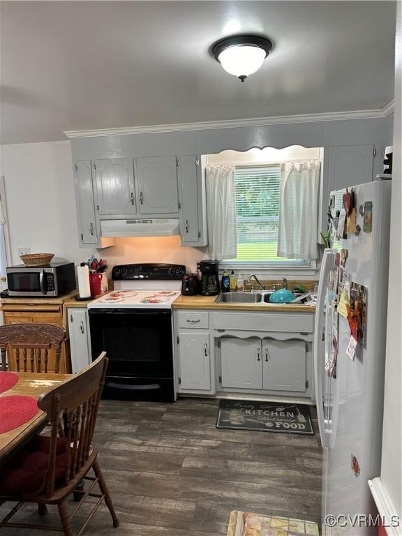 24501 River Rd, North Dinwiddie, VA 23803 - kitchen with freestanding refrigerator, range with electric stovetop, stainless steel microwave, under cabinet range hood, and dark wood finished floors