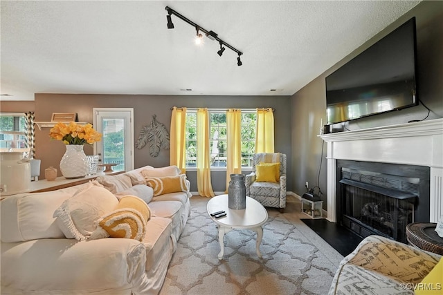 3006 Creek Meadow Cir, North Chesterfield, VA 23234 - living area with track lighting, a fireplace with flush hearth, a textured ceiling, and wood finished floors