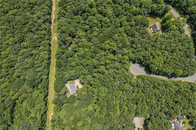 1900 Pine Creek Bluff Ct, Powhatan, VA 23139 - view of property location with a forest
