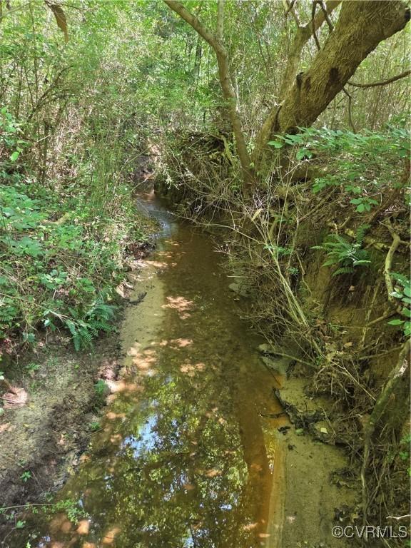 20803 Old Beaver Pond Rd, Mc Kenney, VA 23872 - view of local wilderness
