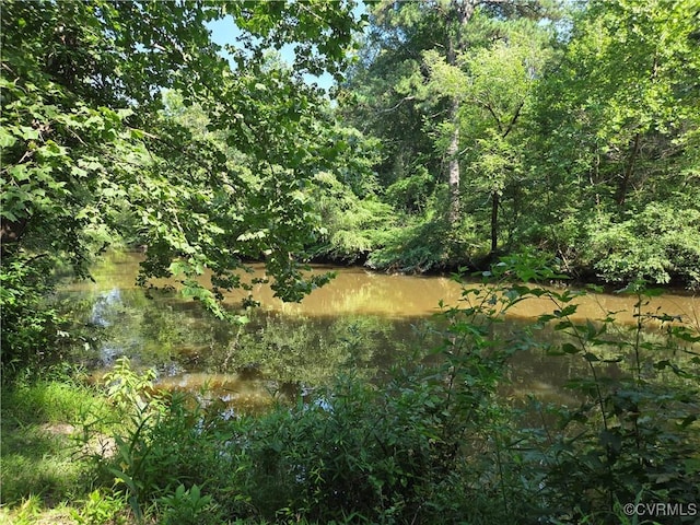 20803 Old Beaver Pond Rd, Mc Kenney, VA 23872 - view of nature
