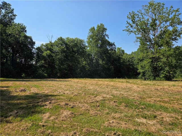 20803 Old Beaver Pond Rd, Mc Kenney, VA 23872 - view of woods