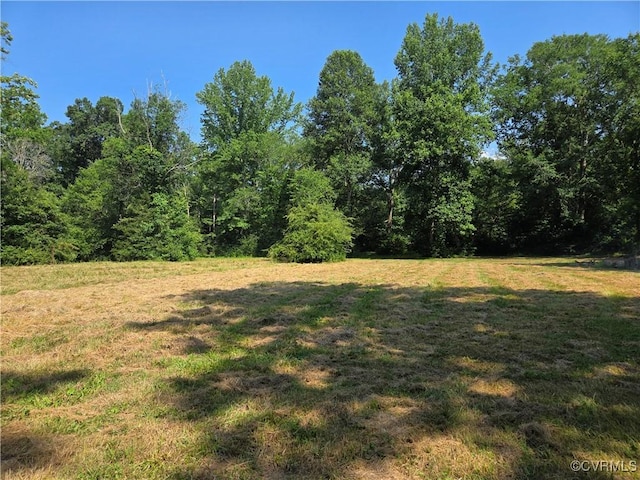 20803 Old Beaver Pond Rd, Mc Kenney, VA 23872 - view of grassy yard with a forest view