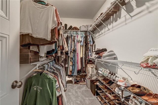 3016 Maple Grove Ln, Powhatan, VA 23139 - spacious closet with carpet flooring