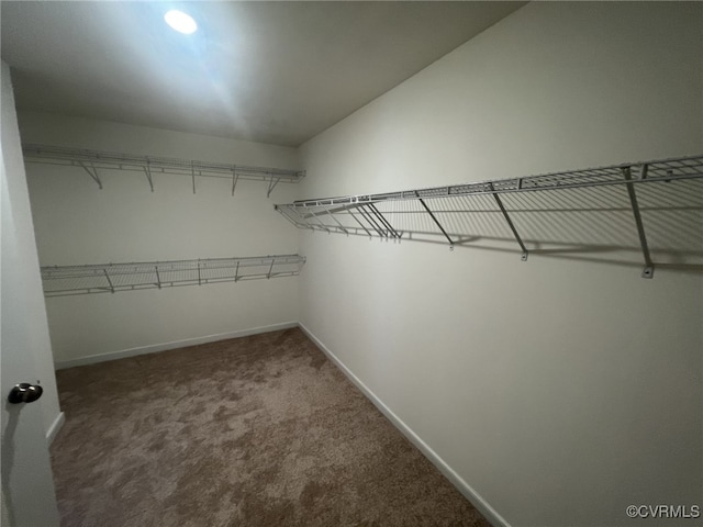 4917 Bailey Woods Ln, Midlothian, VA 23112 - spacious closet with carpet